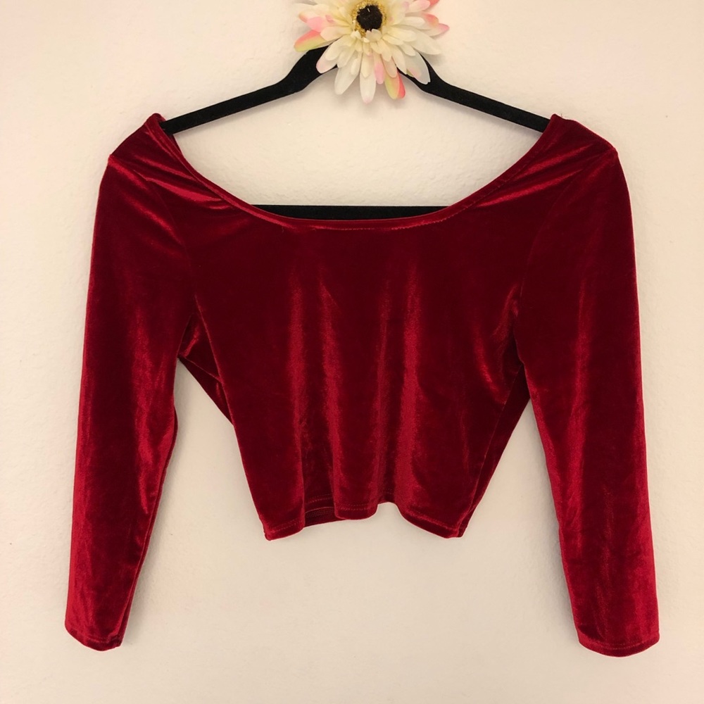 🎄Velvet Crop Top